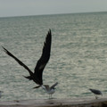 P1000721.JPG